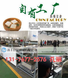 河南商丘豆腐皮機(jī)采購指南 廠家直銷、商用價格與購買渠道